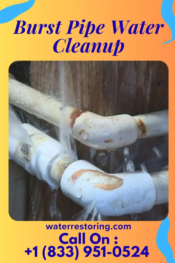 Burst Pipe Water Cleanup in Lakeshore, LA