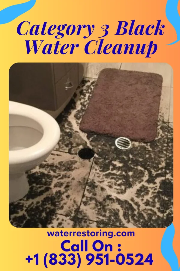 Category 3 Black Water Cleanup in Lakeshore, LA