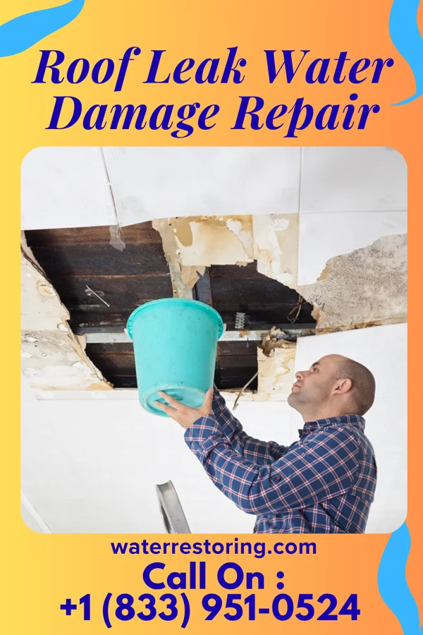 Roof Leak Water Damage Repair in Lakeshore, LA