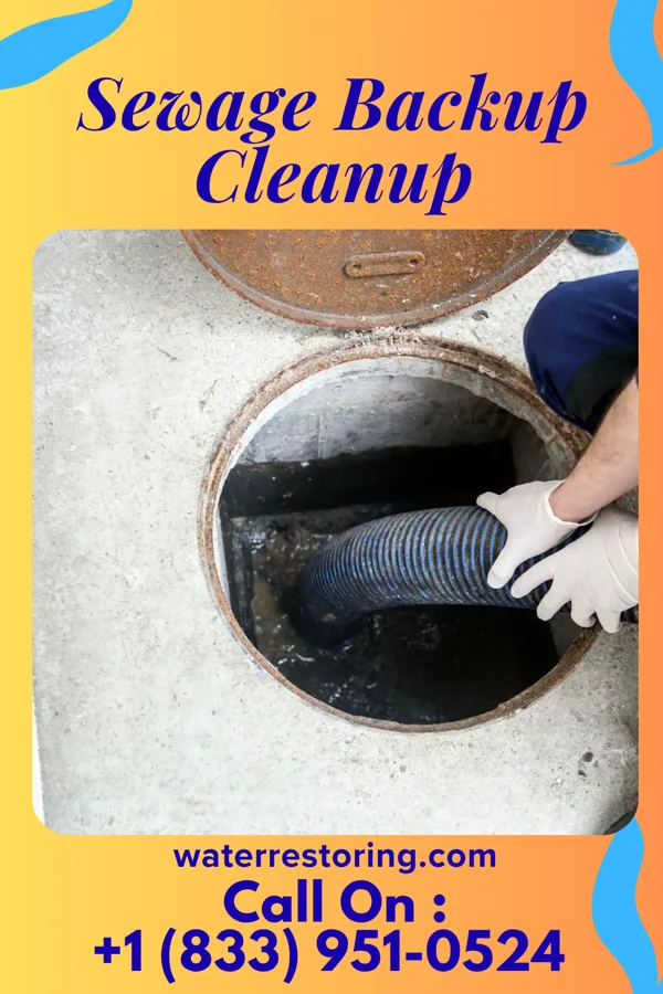 Sewage Backup Cleanup in Lakeshore, LA